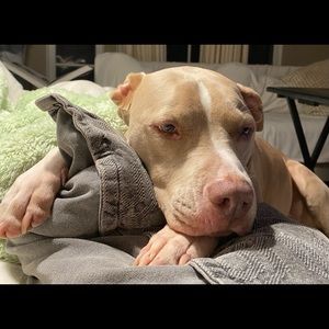 Meet your Posher, Linda